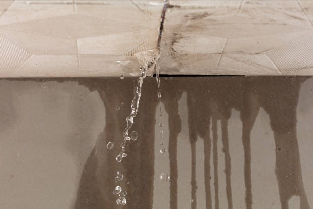 Professional Burst Pipe Cleanup technician working in Maud, TX